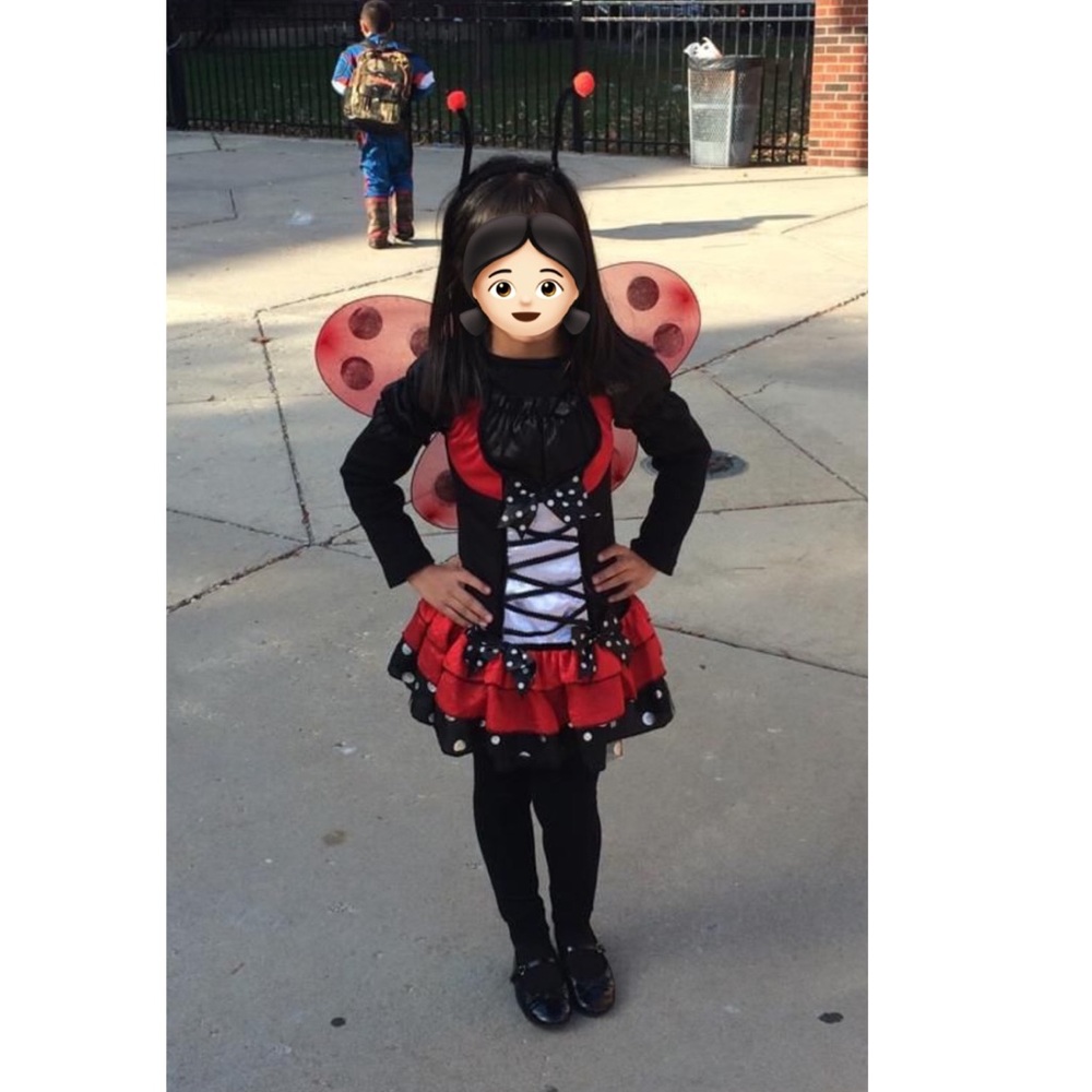 Ladybug custom